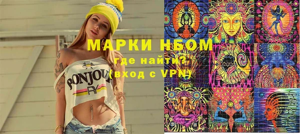 шишки Белокуриха