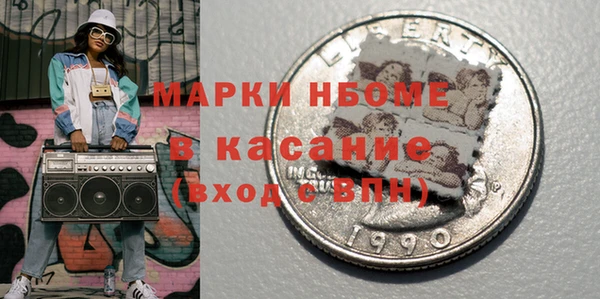 шишки Белокуриха