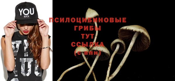 прущие крисы Покачи