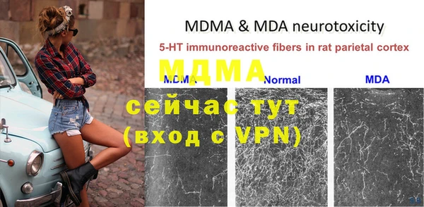 шишки Белокуриха