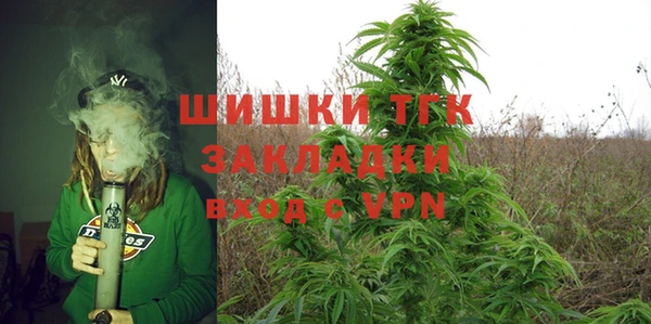 шишки Белокуриха